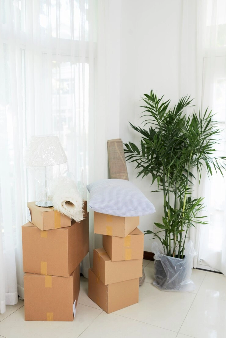 professional Home Shifting services